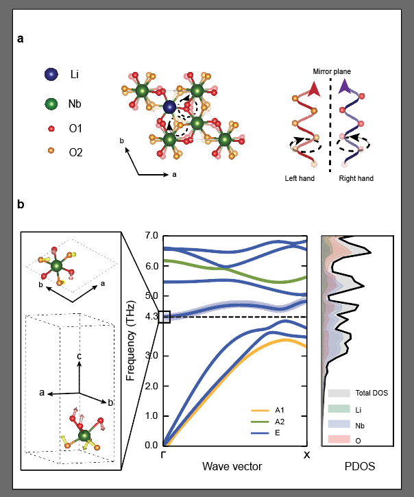 image-20250905211035969